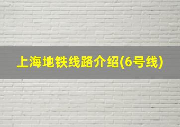 上海地铁线路介绍(6号线)