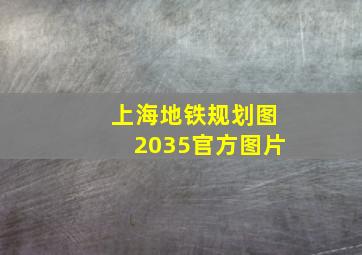 上海地铁规划图2035官方图片