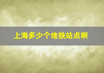 上海多少个地铁站点啊