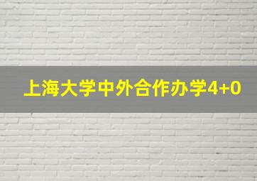 上海大学中外合作办学4+0