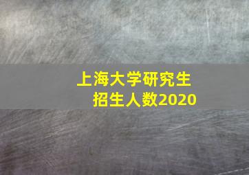 上海大学研究生招生人数2020