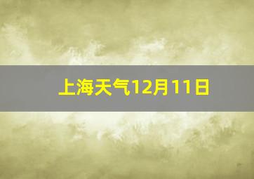 上海天气12月11日