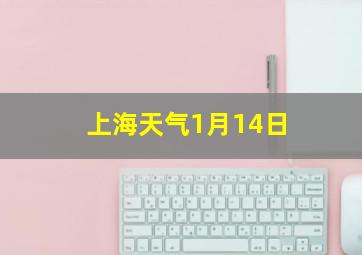 上海天气1月14日