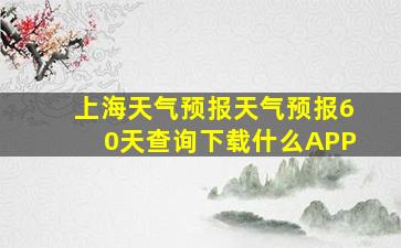 上海天气预报天气预报60天查询下载什么APP