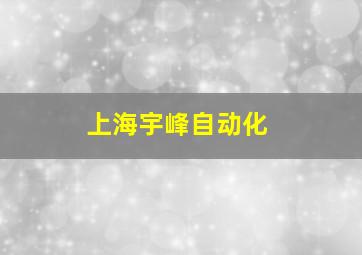 上海宇峰自动化