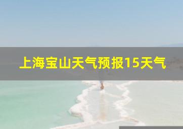 上海宝山天气预报15天气