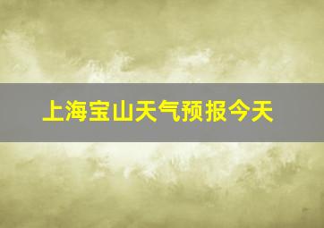 上海宝山天气预报今天