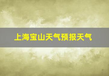 上海宝山天气预报天气