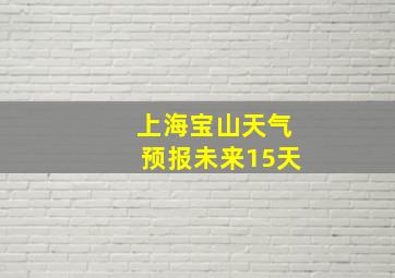 上海宝山天气预报未来15天