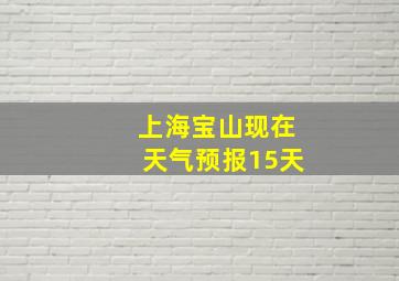 上海宝山现在天气预报15天