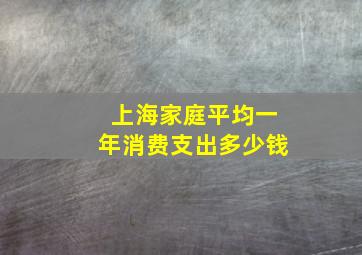 上海家庭平均一年消费支出多少钱