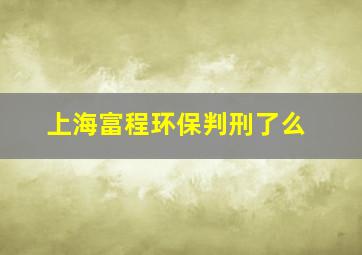 上海富程环保判刑了么