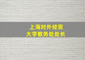 上海对外经贸大学教务处处长