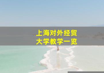 上海对外经贸大学教学一览