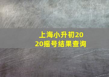 上海小升初2020摇号结果查询