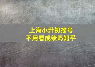 上海小升初摇号不用看成绩吗知乎