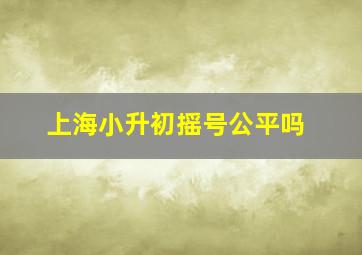 上海小升初摇号公平吗