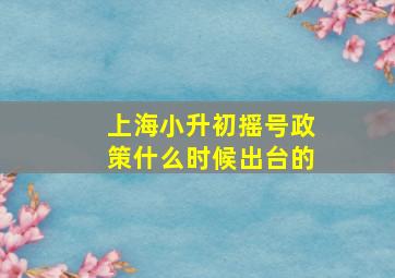 上海小升初摇号政策什么时候出台的