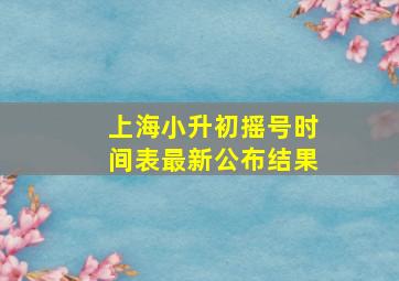 上海小升初摇号时间表最新公布结果