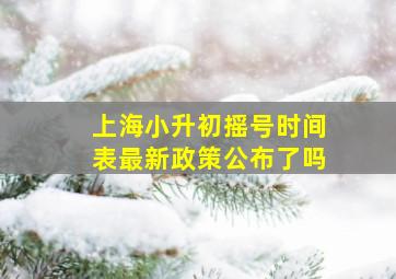 上海小升初摇号时间表最新政策公布了吗