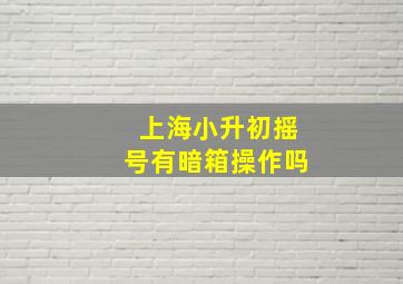 上海小升初摇号有暗箱操作吗