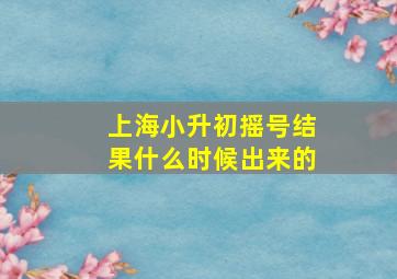 上海小升初摇号结果什么时候出来的