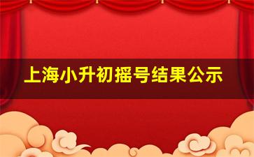 上海小升初摇号结果公示