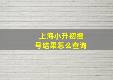 上海小升初摇号结果怎么查询