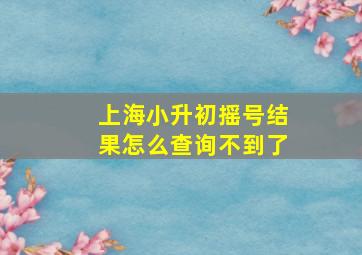 上海小升初摇号结果怎么查询不到了