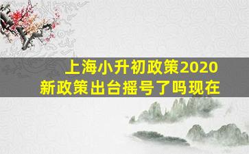 上海小升初政策2020新政策出台摇号了吗现在