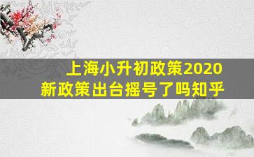 上海小升初政策2020新政策出台摇号了吗知乎