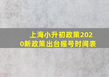 上海小升初政策2020新政策出台摇号时间表