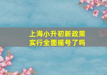 上海小升初新政策实行全面摇号了吗