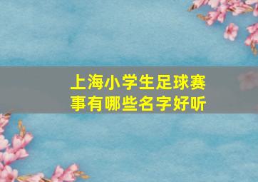 上海小学生足球赛事有哪些名字好听