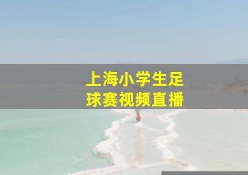 上海小学生足球赛视频直播