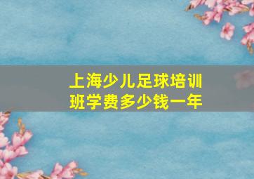 上海少儿足球培训班学费多少钱一年