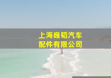 上海巍韬汽车配件有限公司