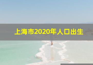 上海市2020年人口出生