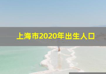 上海市2020年出生人口