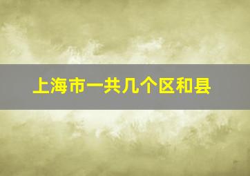 上海市一共几个区和县