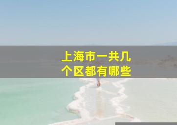 上海市一共几个区都有哪些