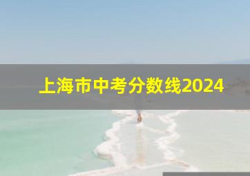 上海市中考分数线2024