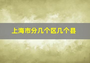 上海市分几个区几个县