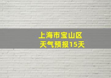 上海市宝山区天气预报15天