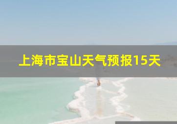 上海市宝山天气预报15天