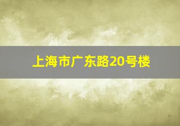 上海市广东路20号楼