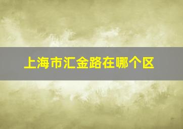 上海市汇金路在哪个区