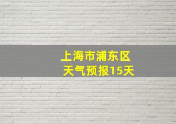 上海市浦东区天气预报15天