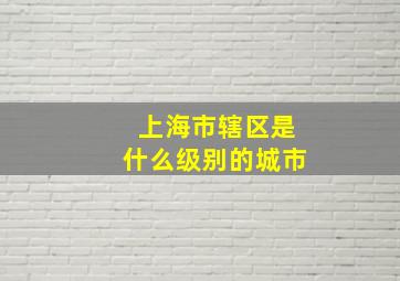 上海市辖区是什么级别的城市