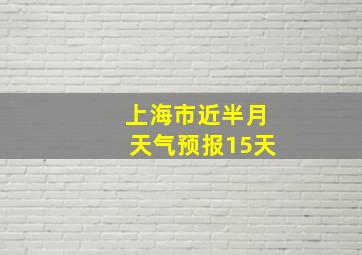 上海市近半月天气预报15天